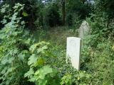 image of grave number 623973